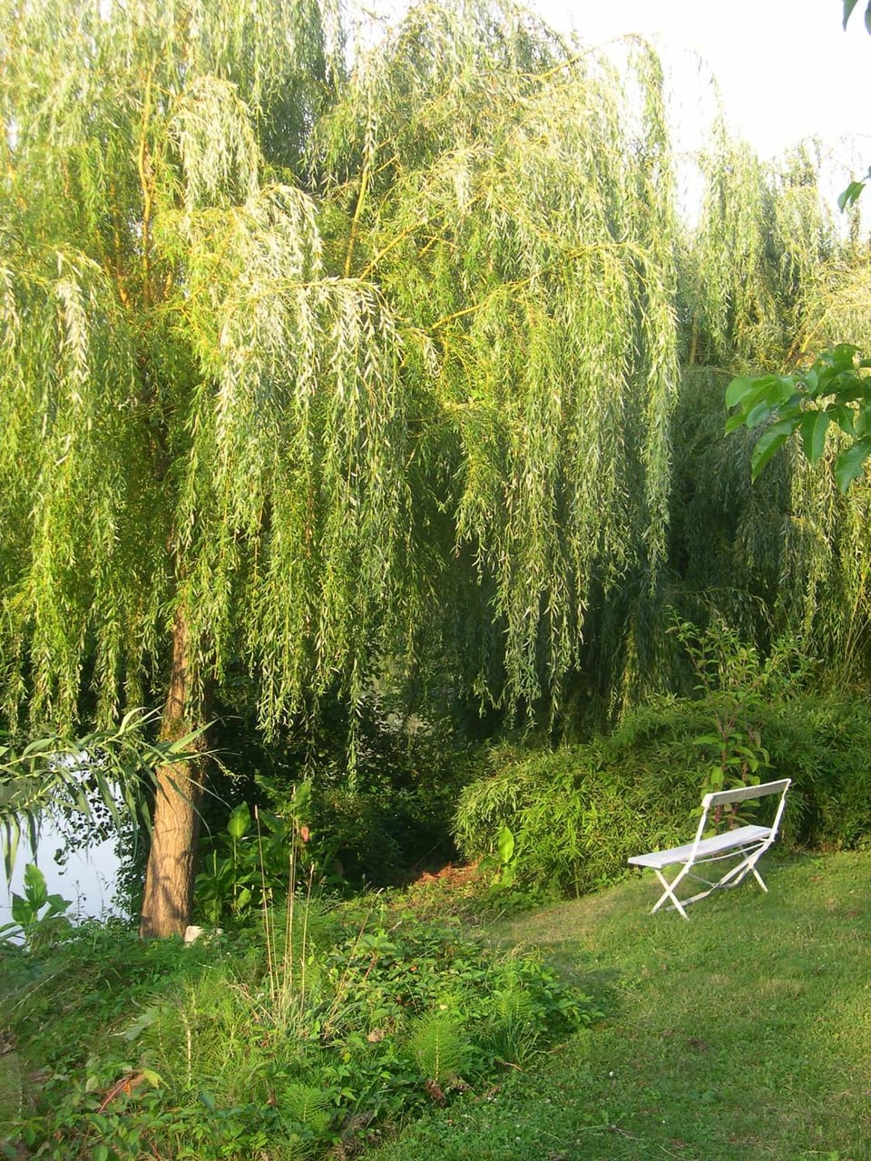 River view