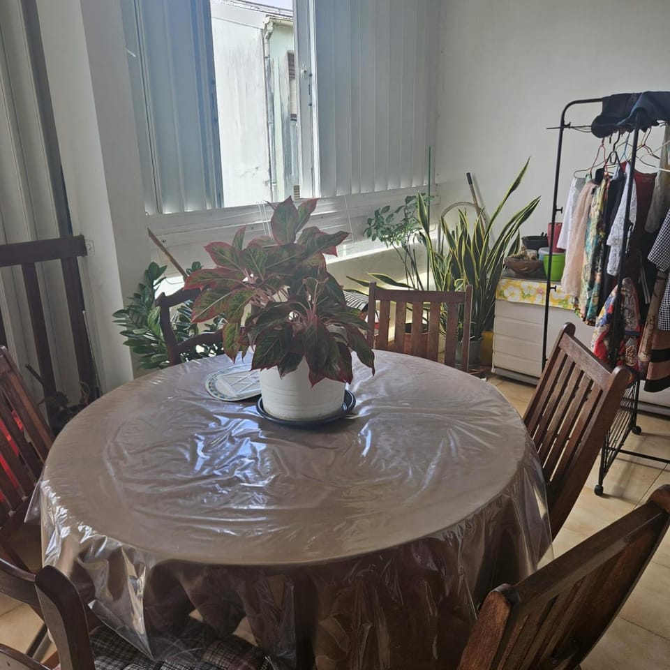 Escale au jardin des plantes Vacation rental in Fort-de-France