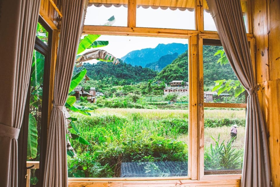 Garden view