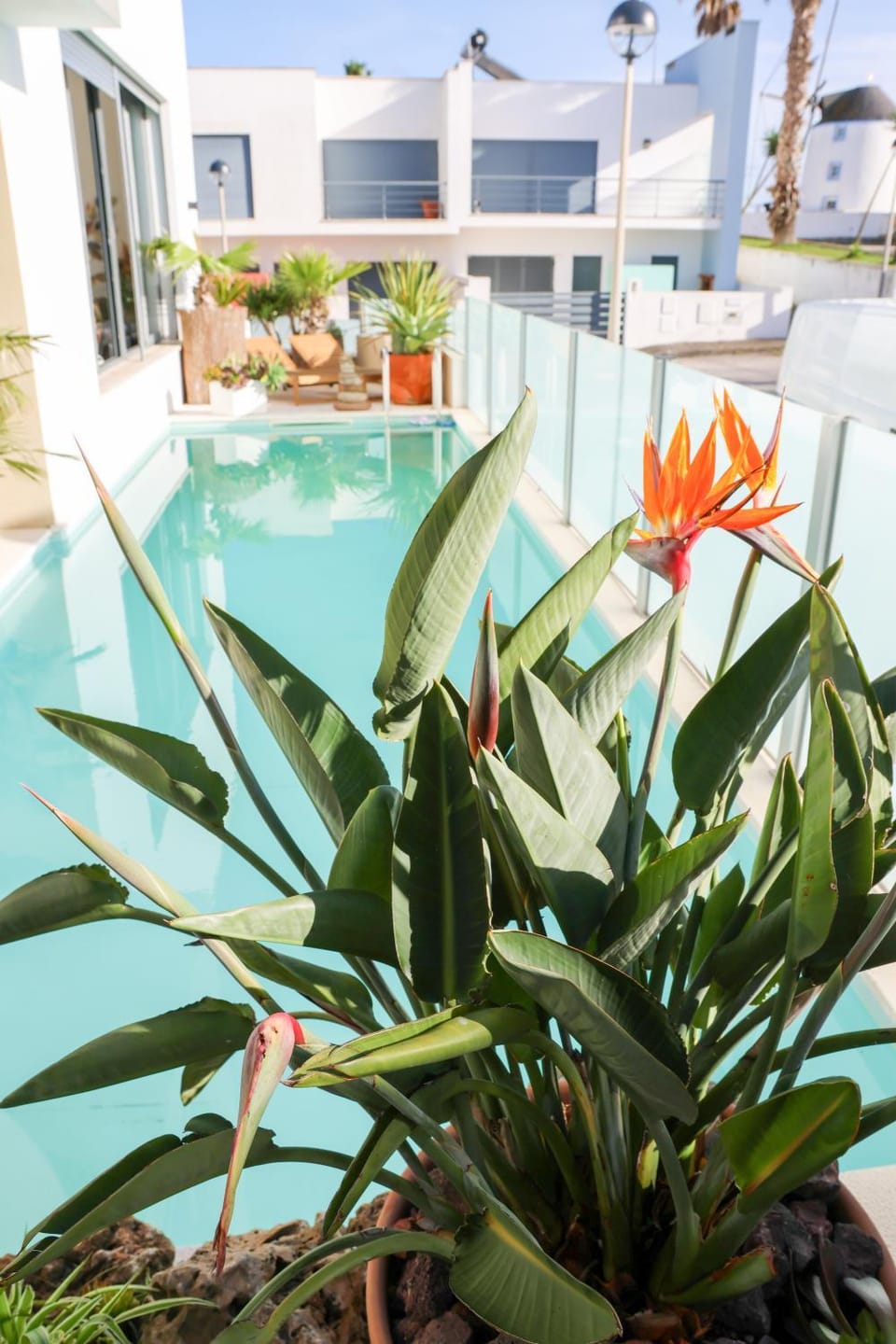 Day, Pool view, Swimming pool