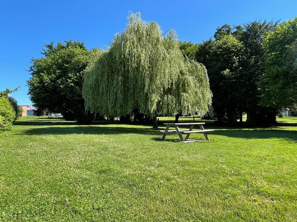 L'orée du parc Bed and Breakfast in Brittany