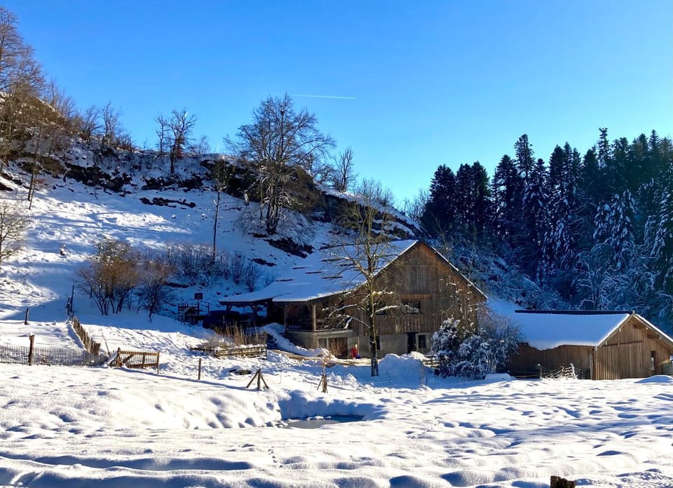 Winter