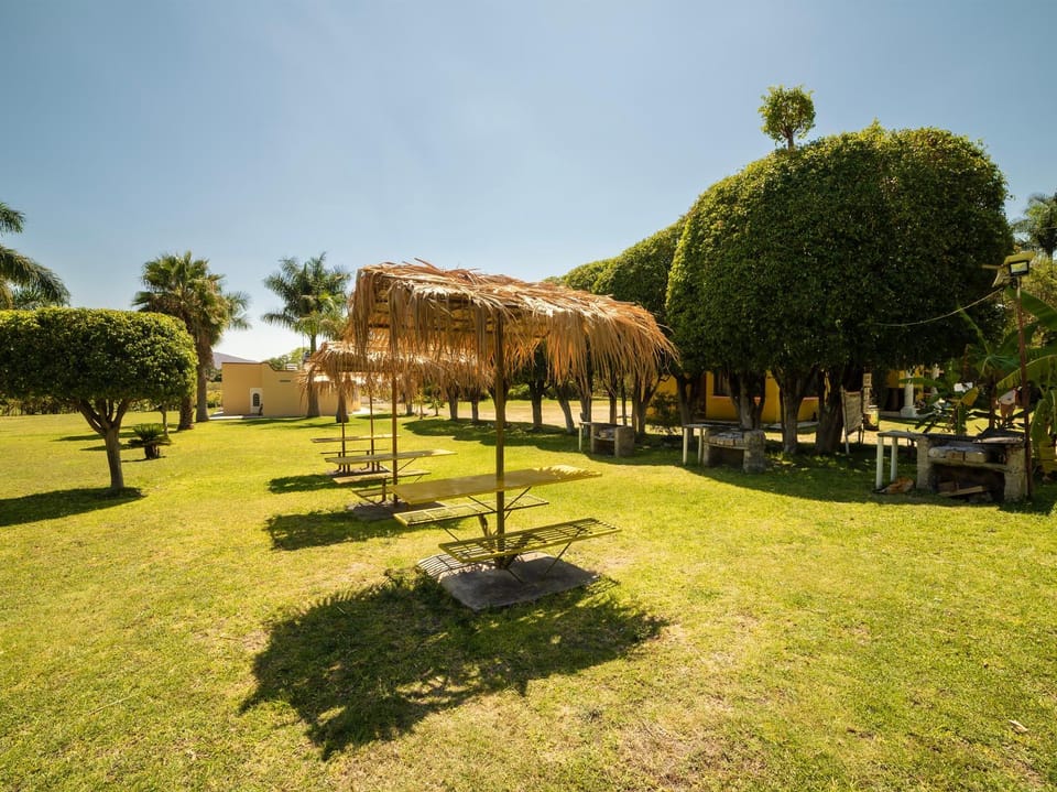 Natural landscape, Dining area
