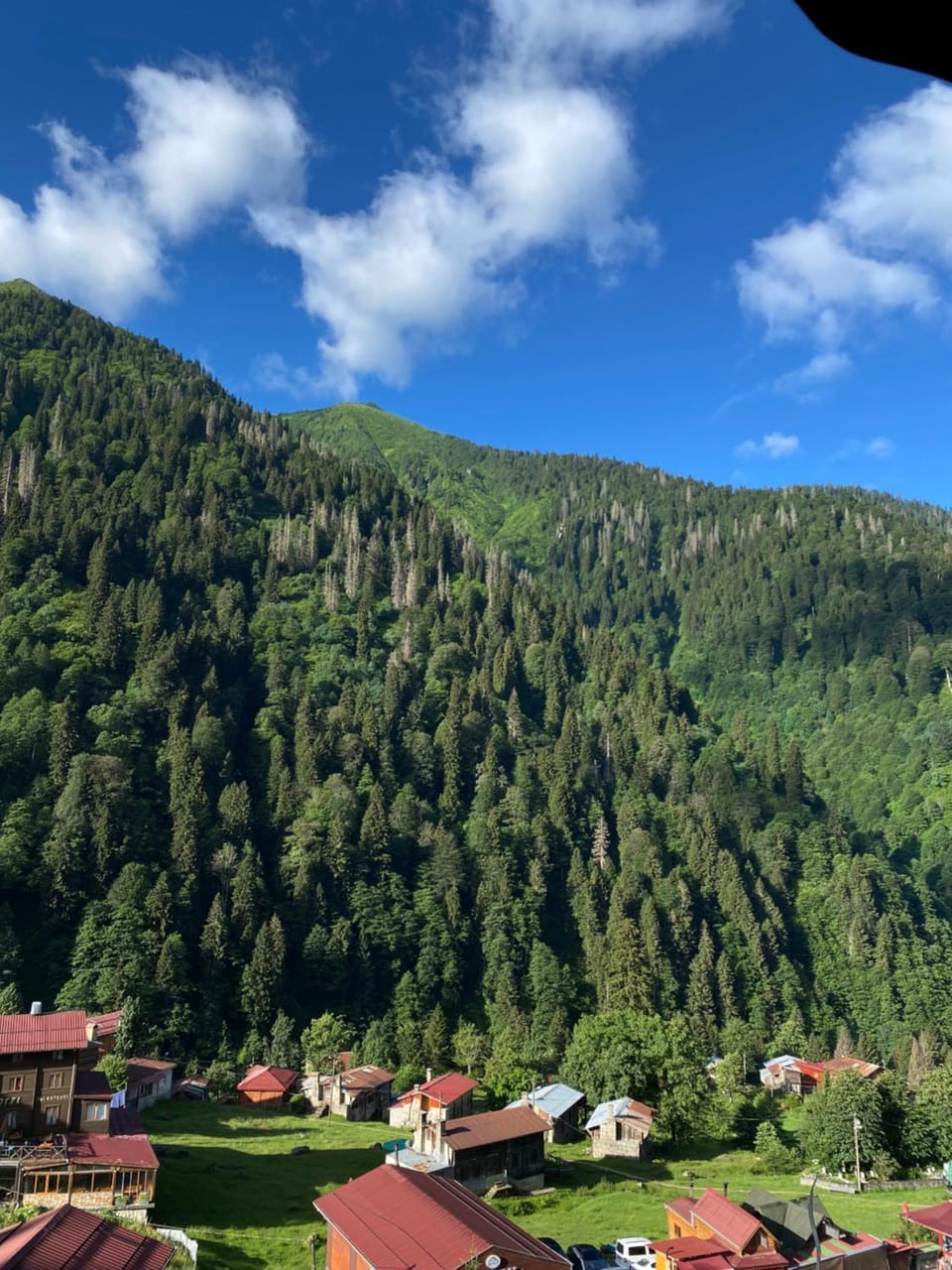 Neighbourhood, Natural landscape