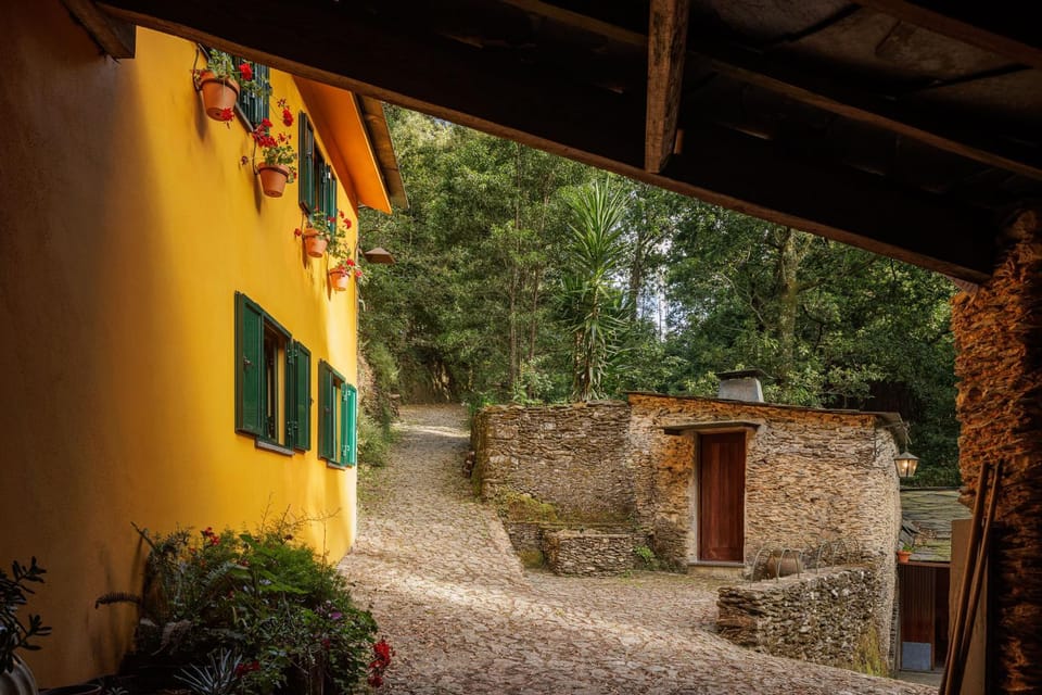 Be&See in River Farm Stay in Aveiro District, Portugal