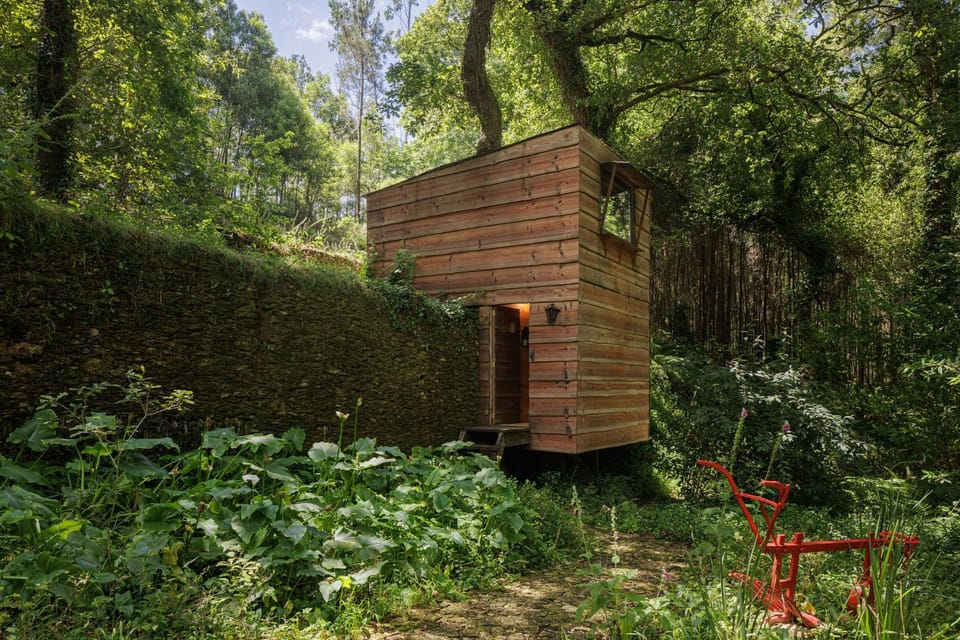 Be&See in River Farm Stay in Aveiro District, Portugal