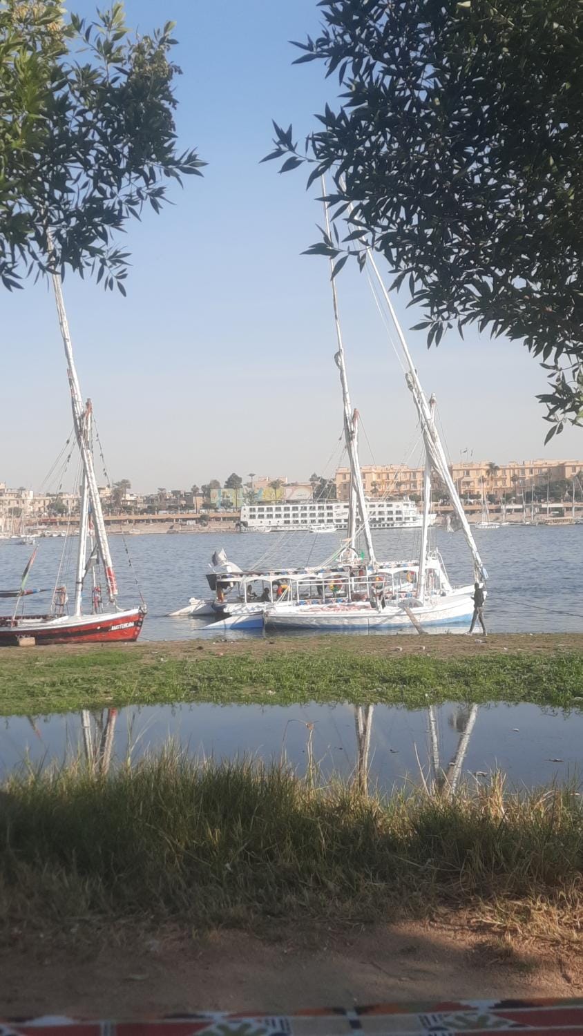 Villa Victoria Old Nile View Villa in Luxor