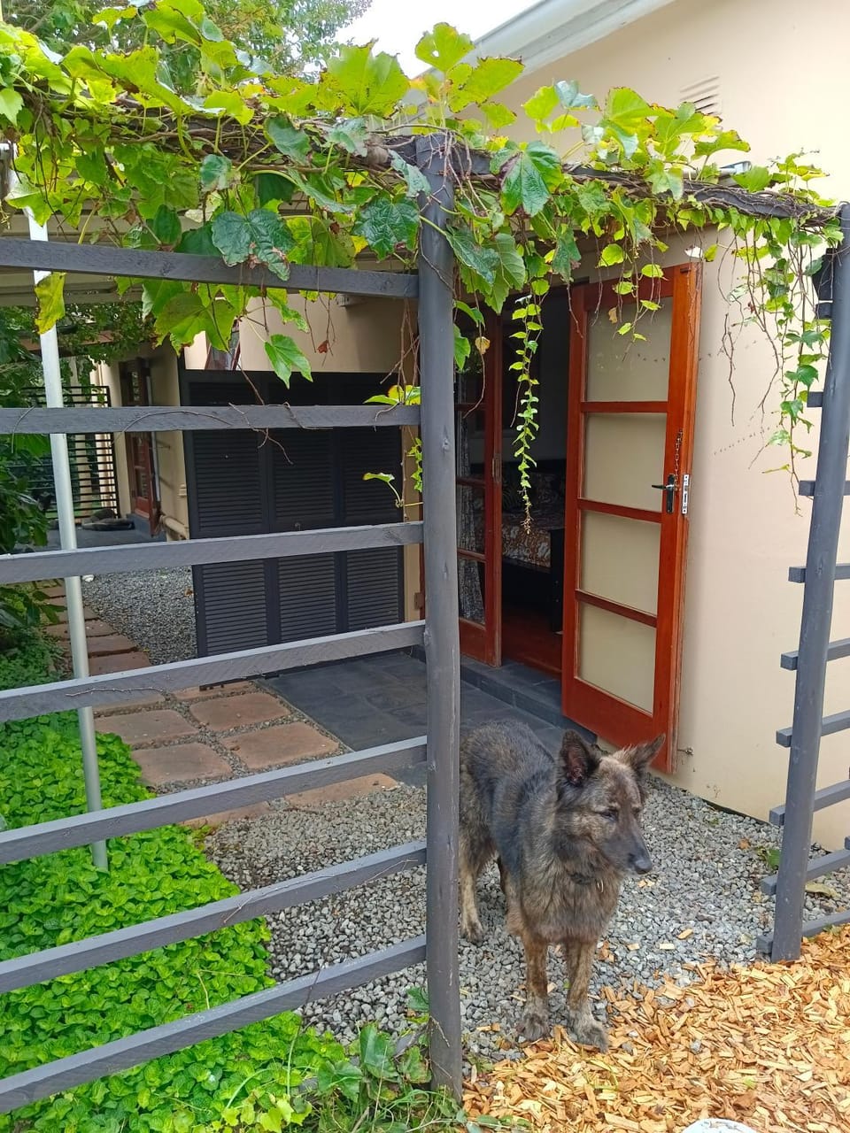 Garden, Balcony/Terrace, Pets