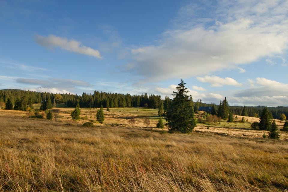 Neighbourhood, Natural landscape, Hiking