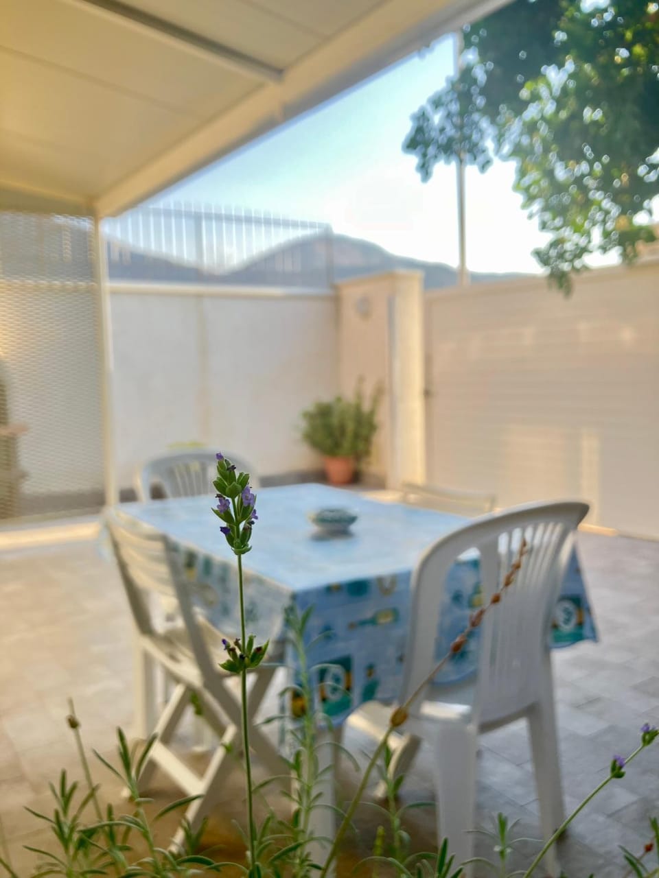 Day, Dining area