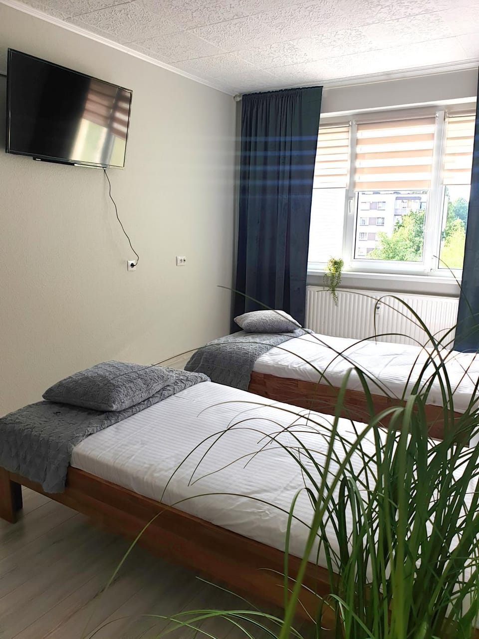 Bed, TV and multimedia, Photo of the whole room, Bedroom