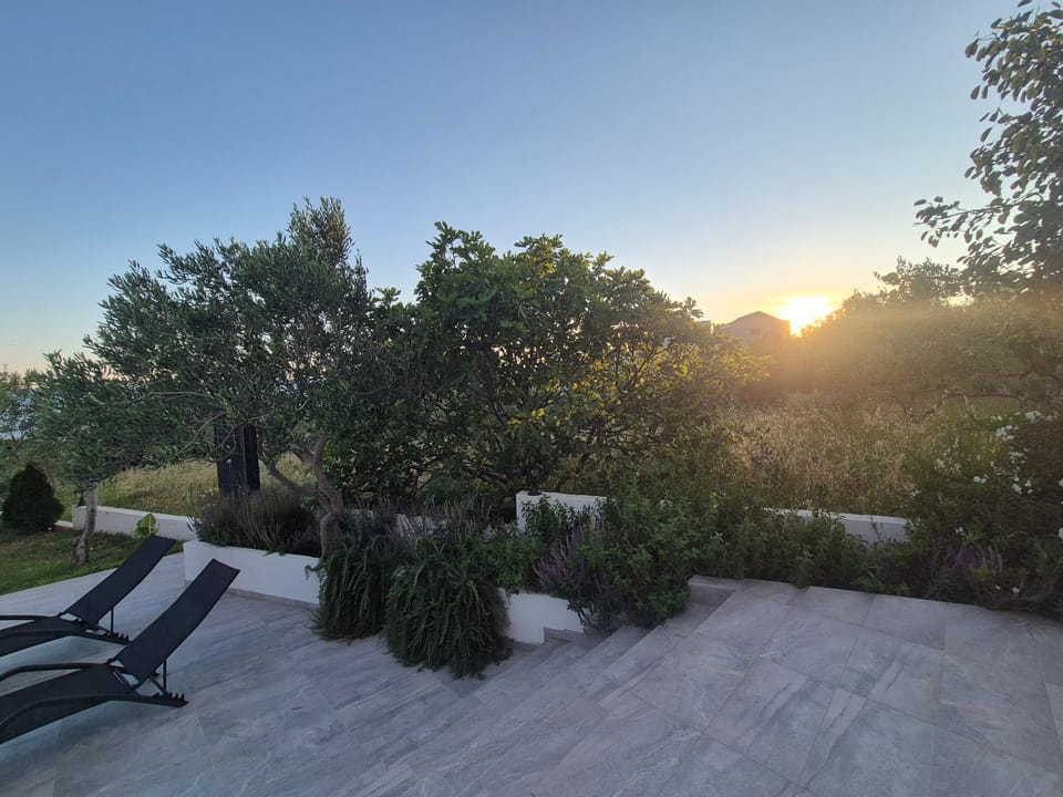 Olive Lounge House House in Makarska