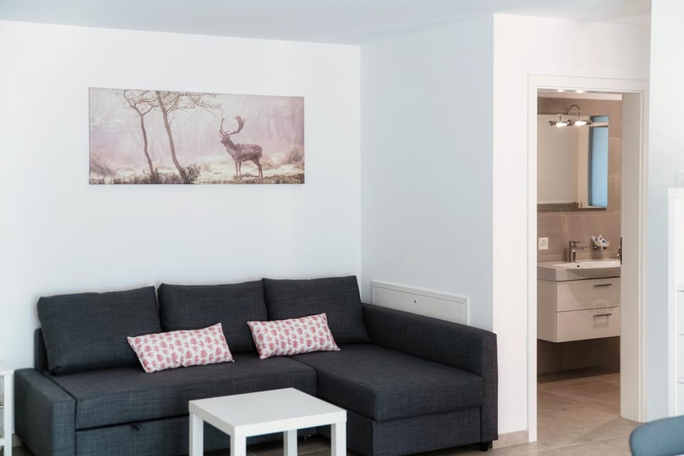 Cama 1 Apartment by Quokka 360 - Comfortable Stay in the Moesano Valley Apartment in Canton of Grisons