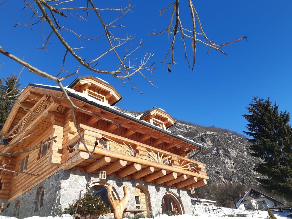 Natur apartma Rudi Apartment in Carinthia, Austria