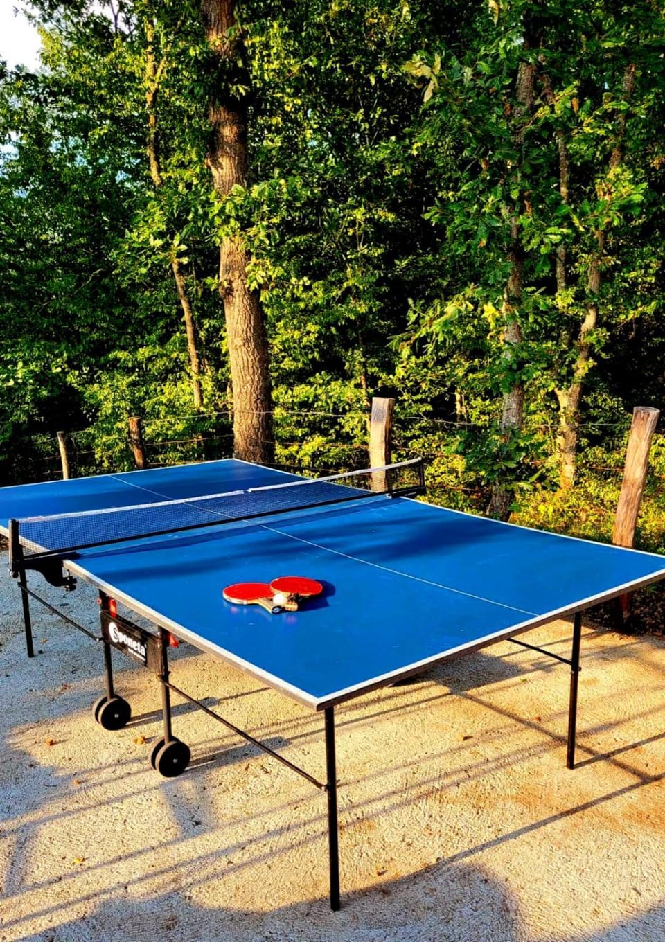 Table tennis