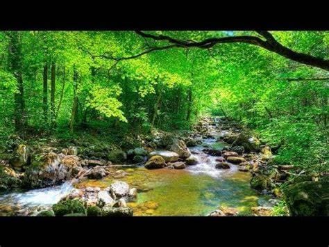 Nearby landmark, Natural landscape