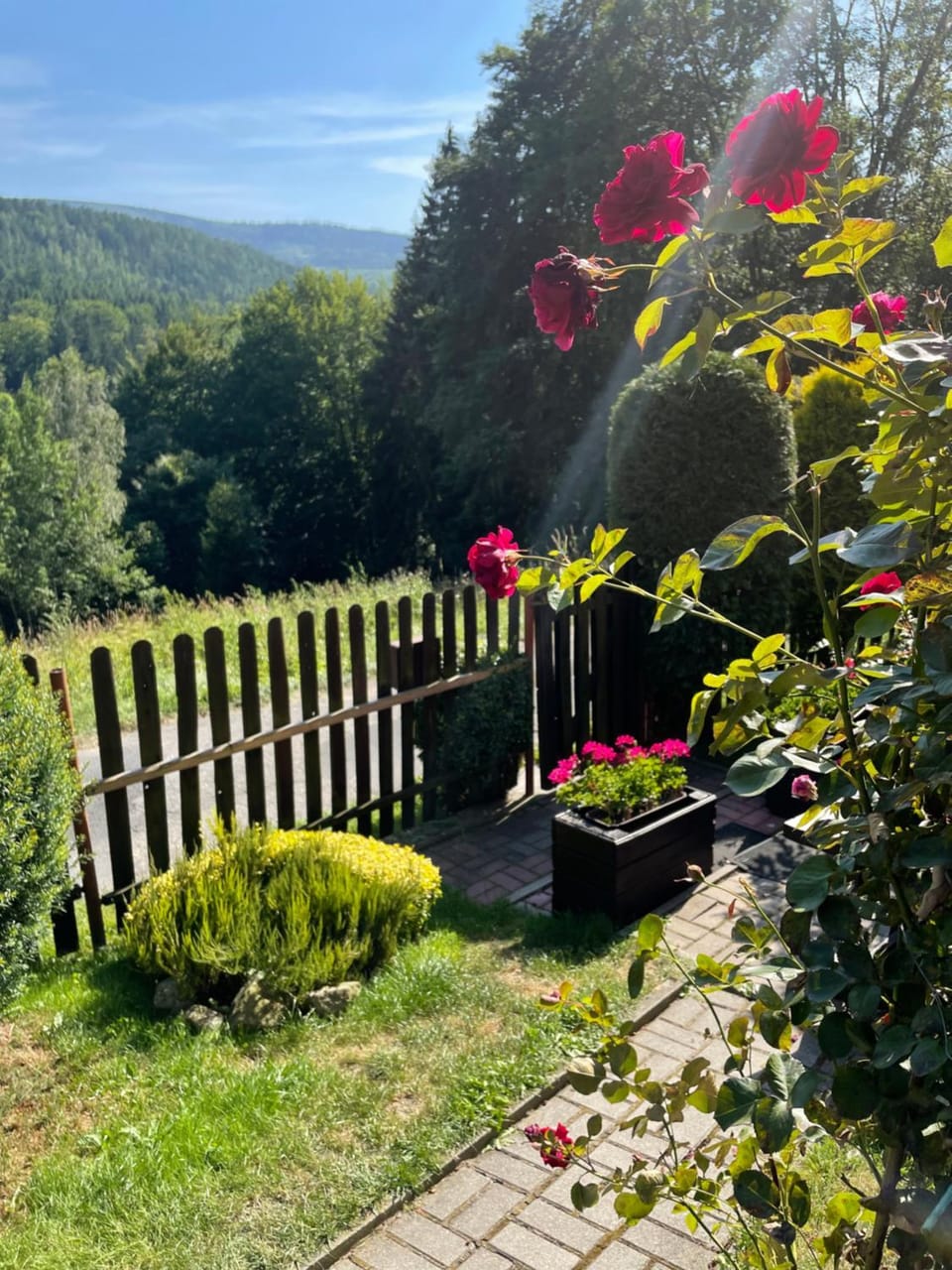 Spring, Day, Natural landscape, Garden, Garden view, Mountain view