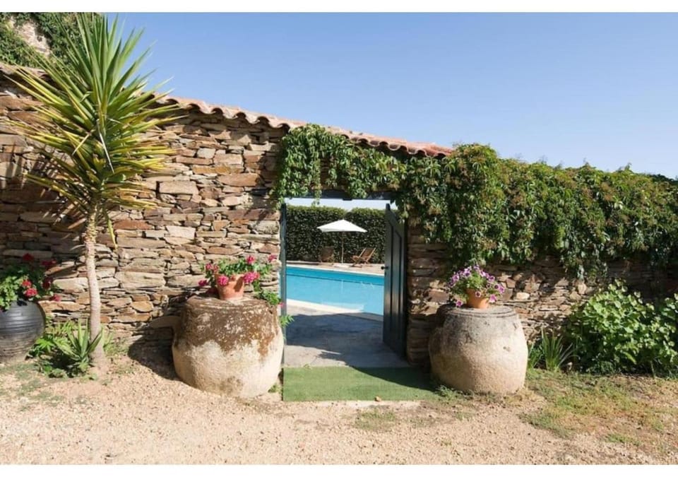 Spring, Day, Garden, Garden view, Pool view, Swimming pool, sunbed