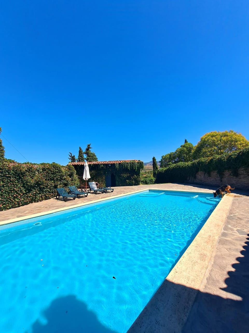 Day, View (from property/room), Pool view, Swimming pool, Swimming pool, sunbed