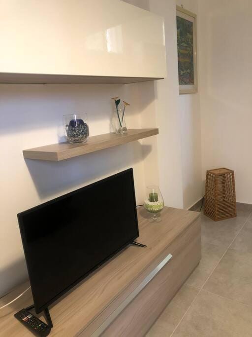 TV and multimedia