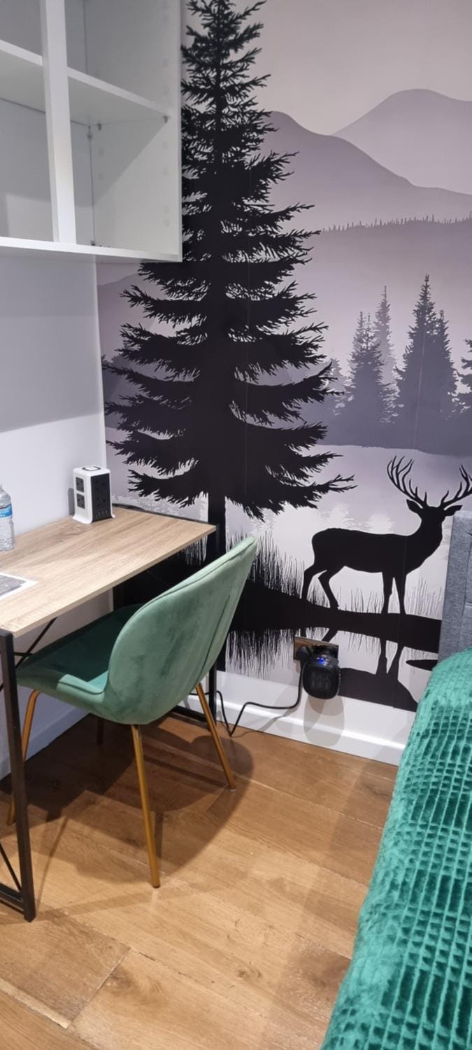 Private Studio Suite, 24h Self Check-in Bed and Breakfast in Luton