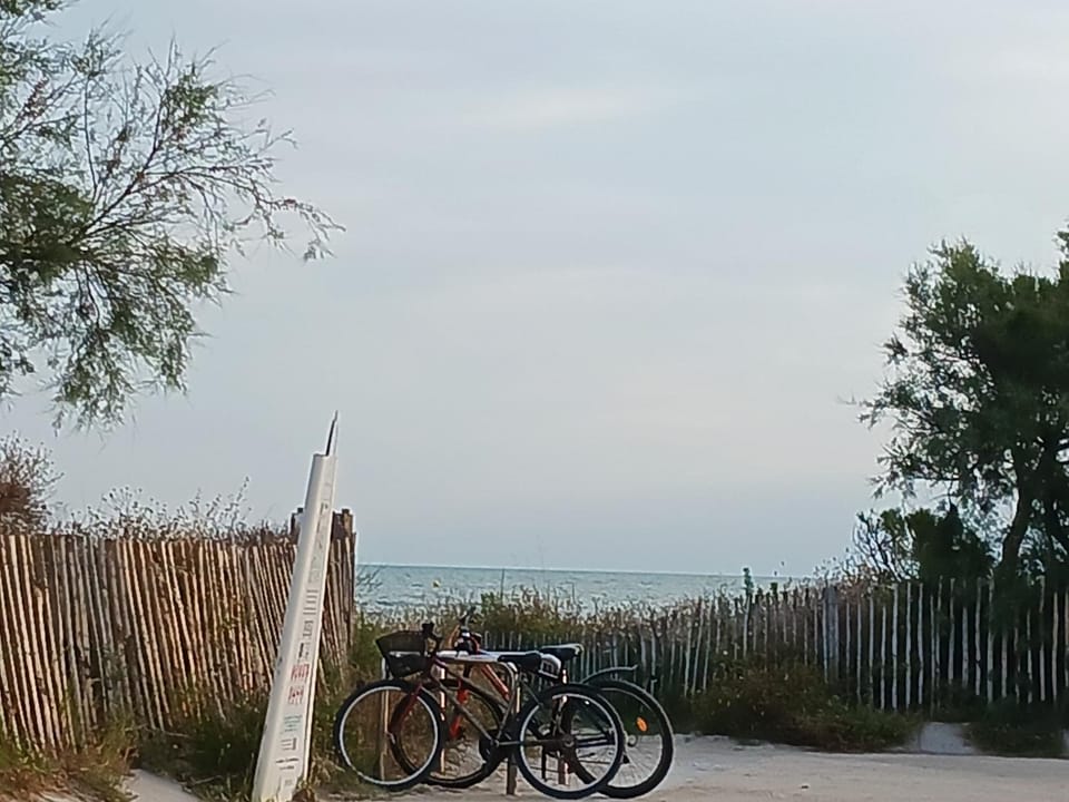 Cycling, Sea view