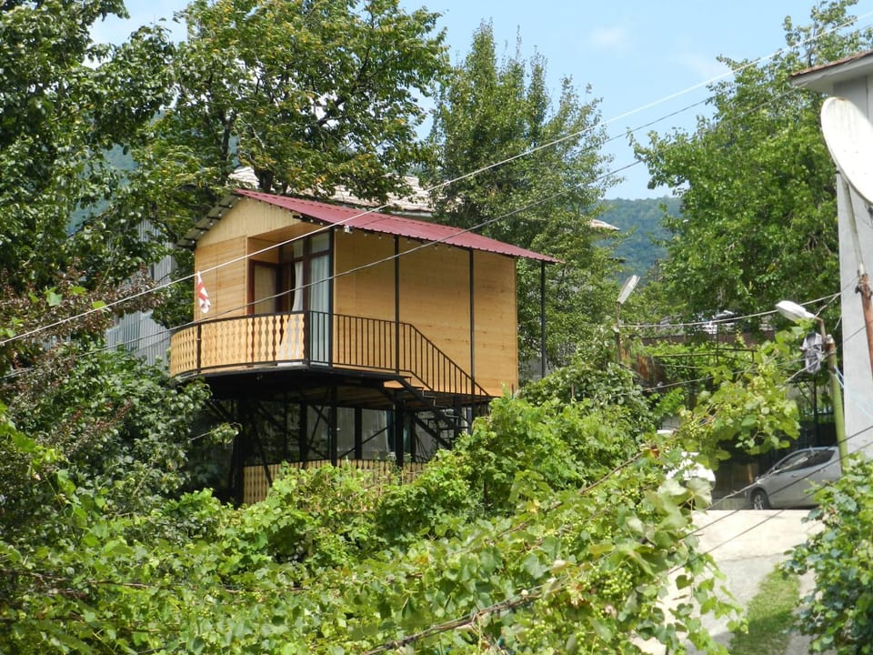 Cottage house House in Adjara, Georgia
