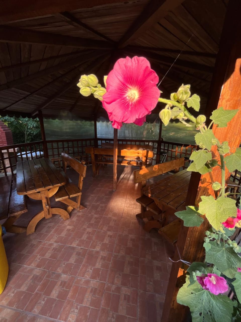 Casa Picu Bed and Breakfast in Constanța County