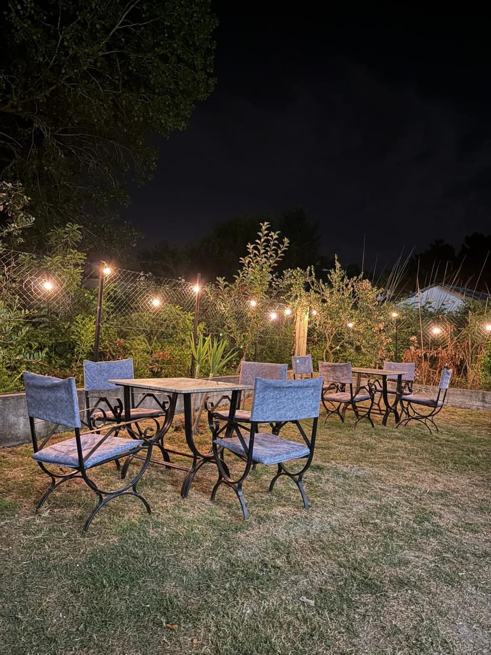 Night, Garden, Garden view