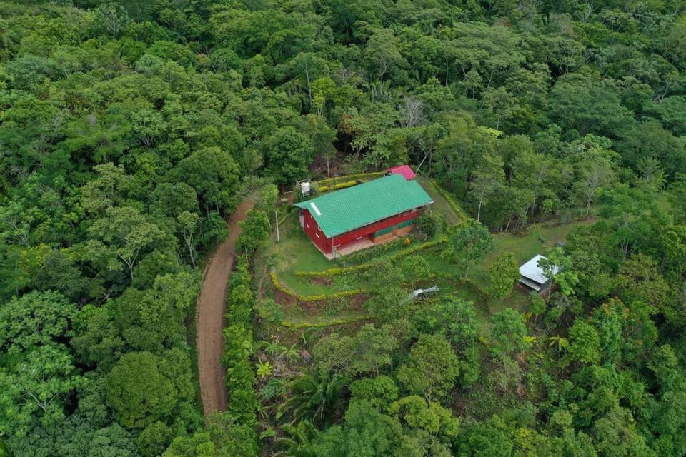 Spring, Bird's eye view