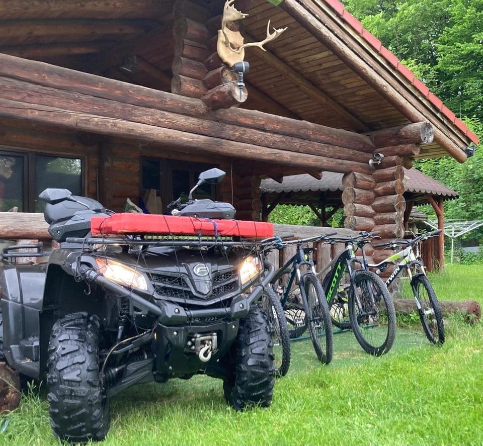 Vila Ianis Bran Bed and Breakfast in Bran