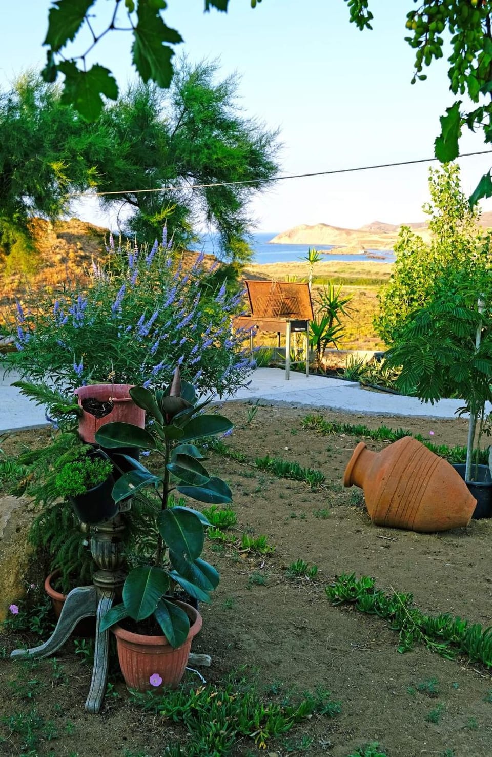 Garden, Garden