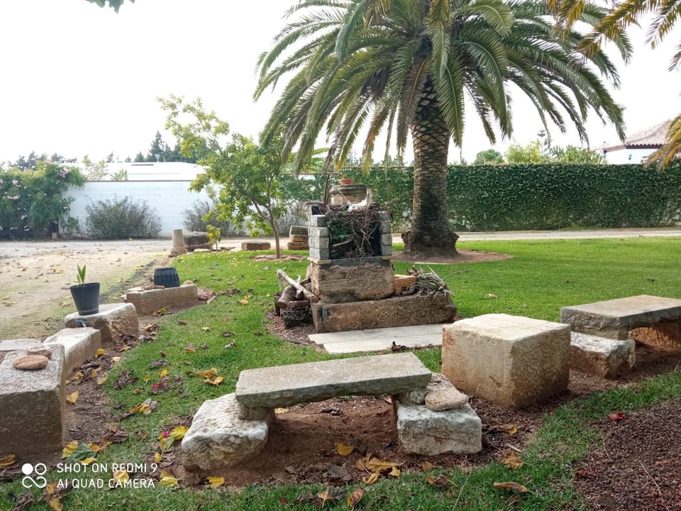 Activities, BBQ facilities