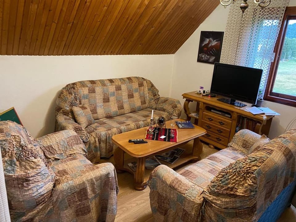 TV and multimedia, Living room