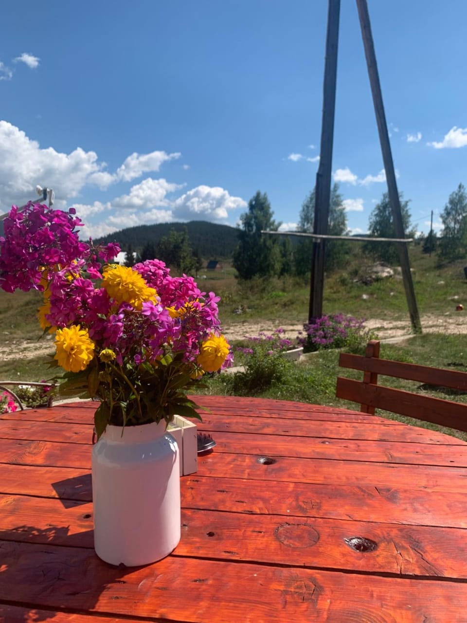 Spring, Day, Natural landscape, Dining area, Garden view
