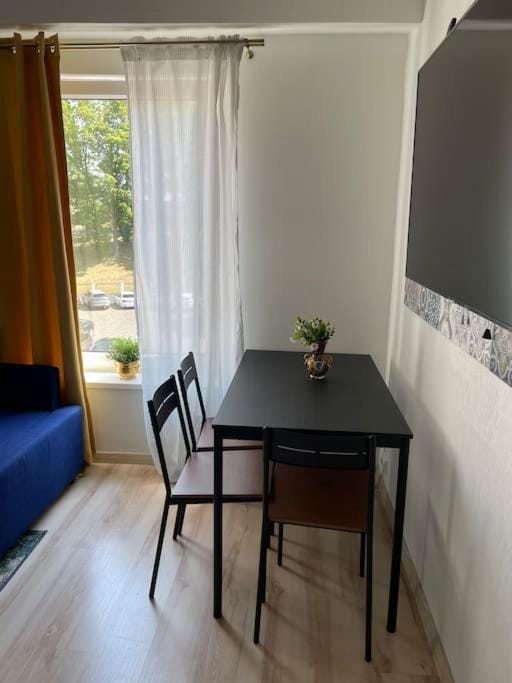 Old Studio 1850 Apartment in Klaipėda