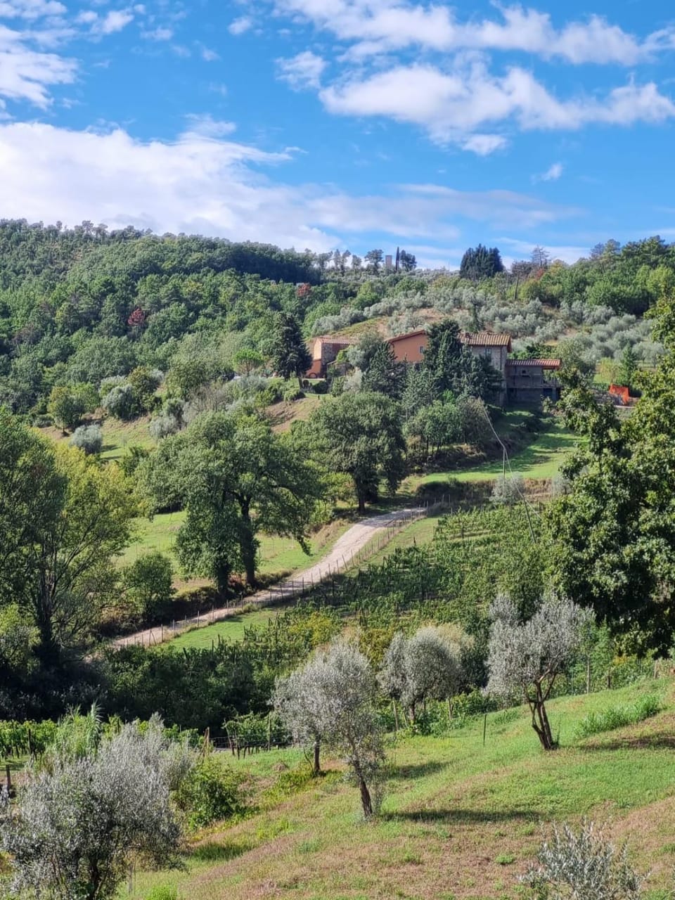 Natural landscape