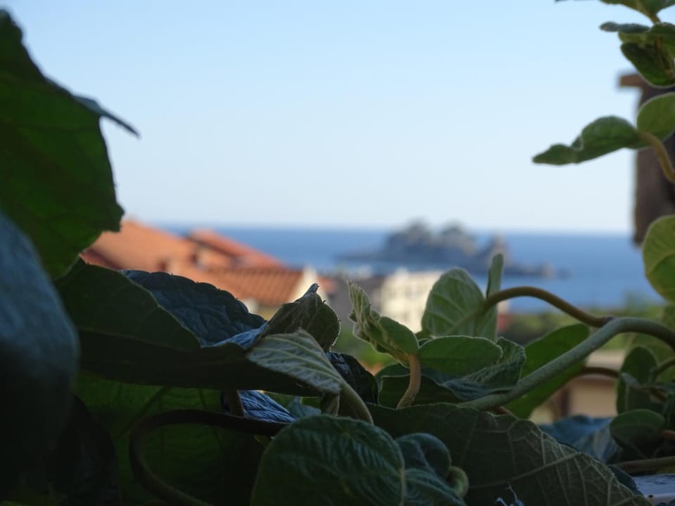 Apartment Hypnos Petrovac Apartment in Budva Municipality
