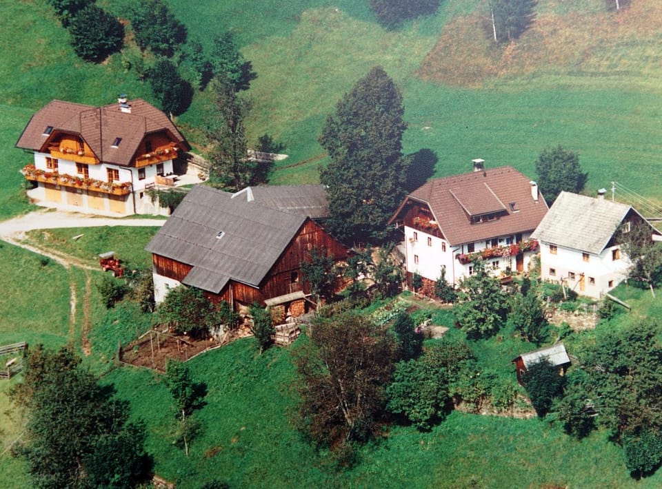 Bird's eye view, Summer