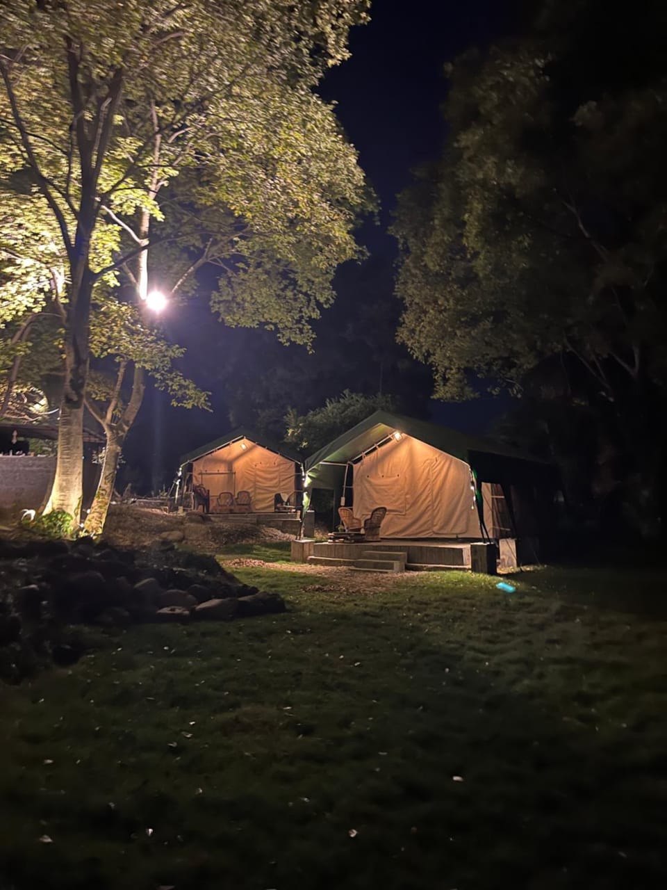 Night, Natural landscape, Garden, Garden view
