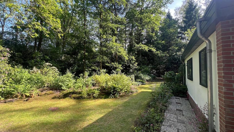Natural landscape, Garden, Garden