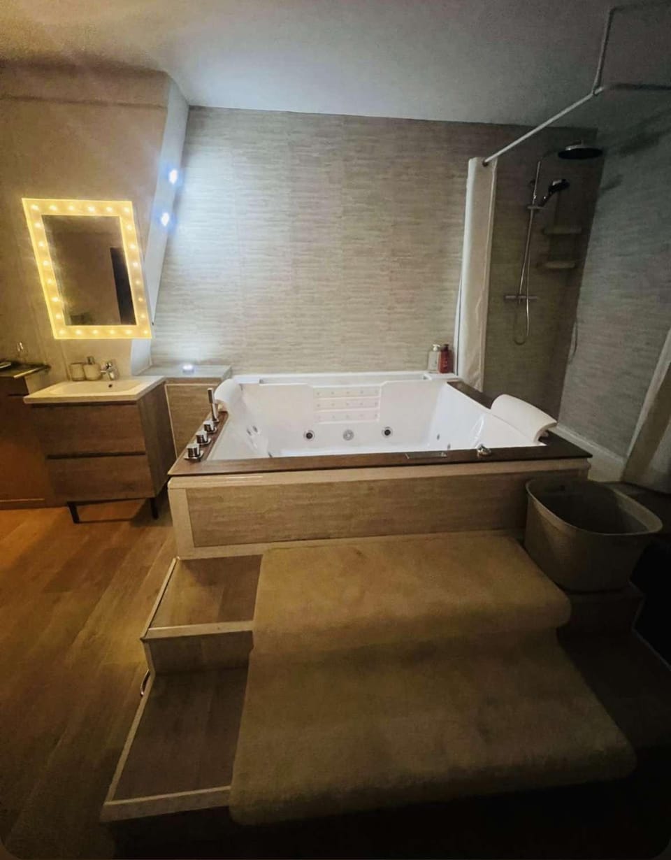 Loft ravissant 45m2 Jacuzzi RVB NIGHT 2 ÉTABLISSEMENT FERMÉ DÉFINITIVEMENT Apartment in Amiens