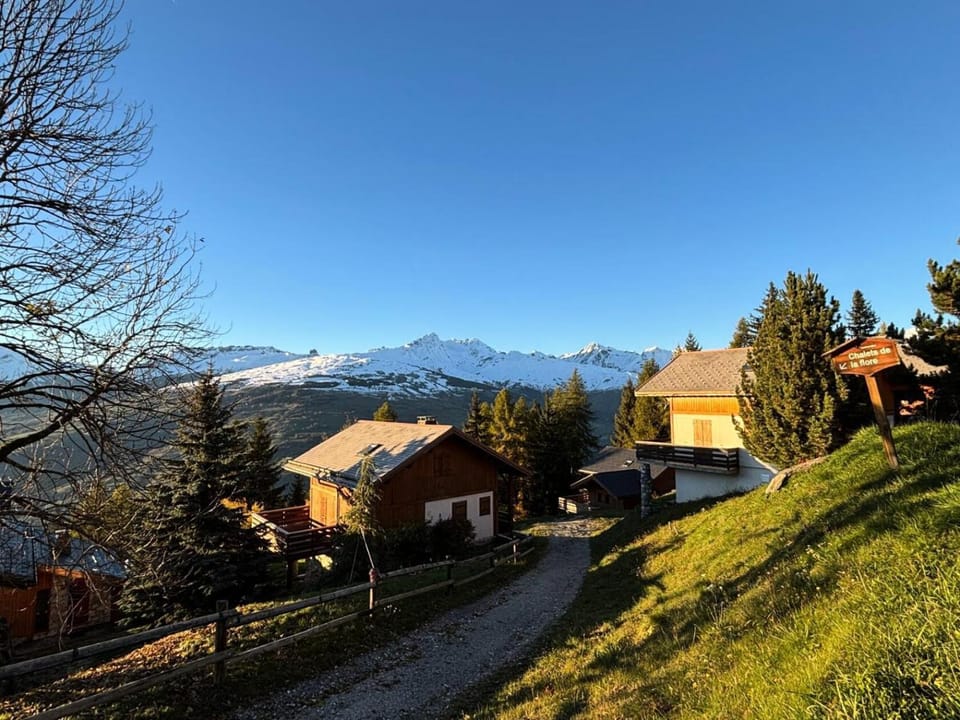 Chalet Forsythia - Chalet de charme 10 personnes à Vallandry situé dans un quartier calme et résidentiel MAE-1991 Chalet in Landry
