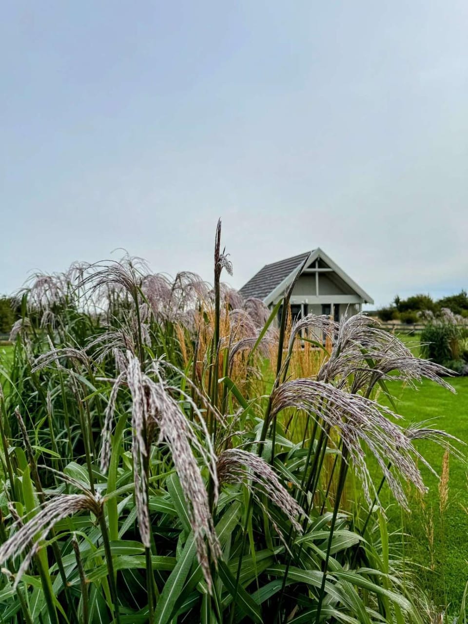 Liepmalas - jaukus namukas Latvijos pajūryje House in Palanga