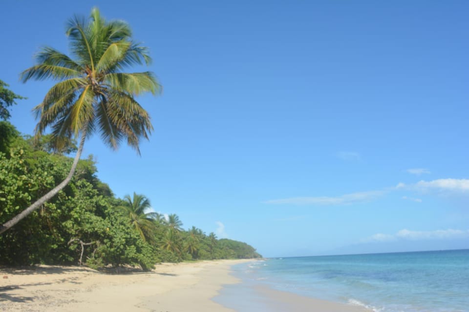 Day, Natural landscape, Beach
