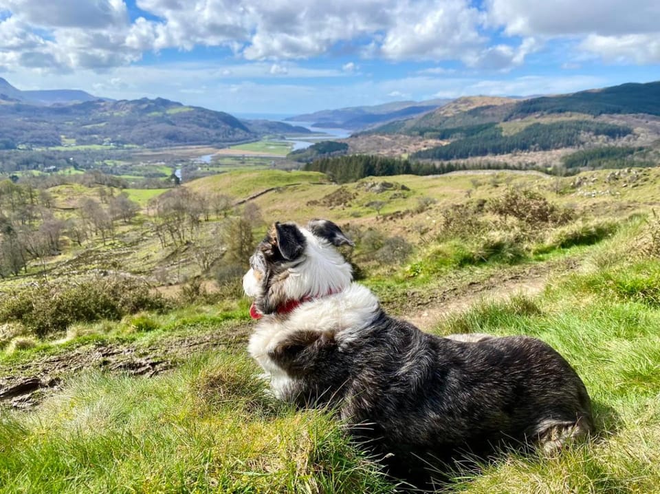 MotoCamp Wales - Lodges Apartment in Dolgellau