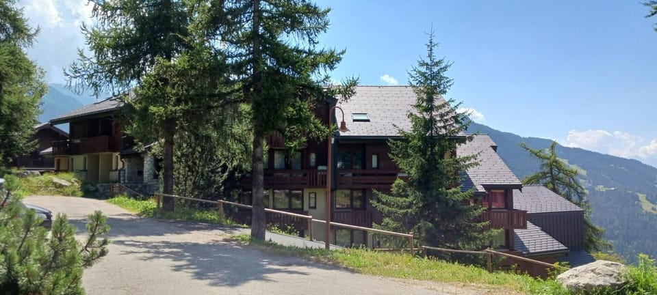 Résidence Michailles - Studio 4 personnes à Vallandry en centre station et proche des pistes MAE-2108 Apartment in Landry