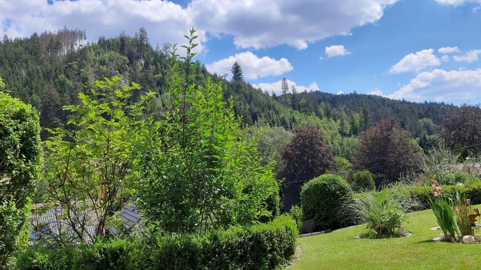 Landhaus Schwaben Bed and Breakfast in Forbach