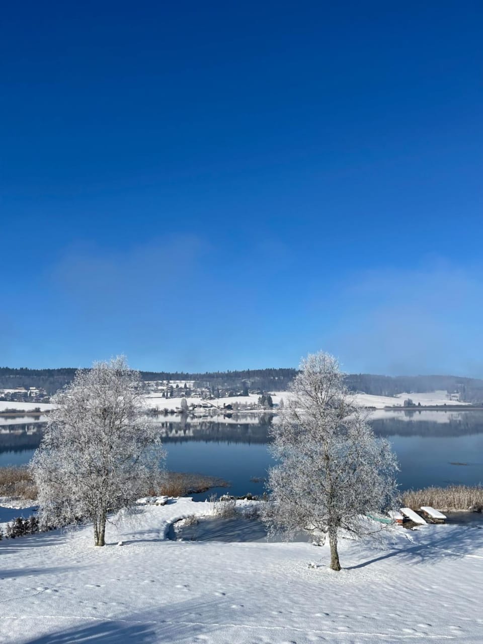 CHALET-MICHEL avec SPA Chalet in Canton of Vaud