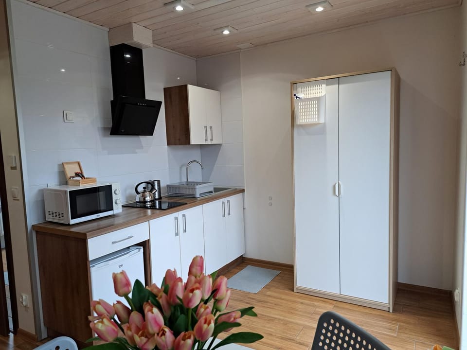 Kitchen or kitchenette, stove, wardrobe